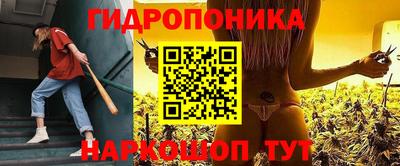 гидра Заводоуковск