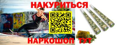 гидра Заводоуковск