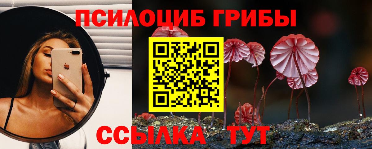 Псилоцибиновые грибы прущие грибы Волоколамск