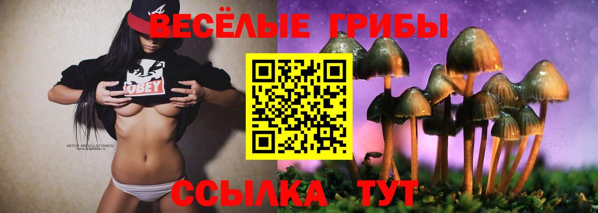 купить закладку  Галлюциногенные грибы Psilocybine cubensis  Вход с VPN  Волоколамск 